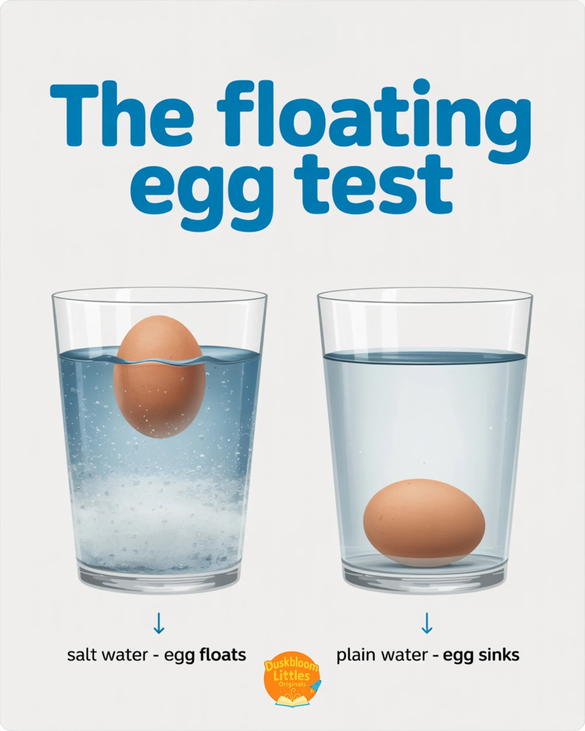 The Floating Egg Test